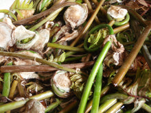 画像をギャラリービューアに読み込む, 2025年分完売しました★ 乾ぜんまい 30g