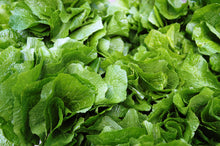 画像をギャラリービューアに読み込む, 2025年分完売しました★【 冷蔵 / 採れたて直送! 】 諸塚村産 葉わさび 1束 (約100g)