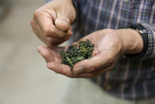 画像をギャラリービューアに読み込む, 【 メール便 】清香森茶 2個セット