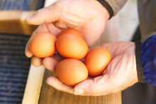 画像をギャラリービューアに読み込む, 【 冷蔵 】やまんたまご 放し飼い鶏卵