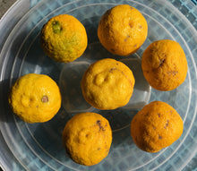 画像をギャラリービューアに読み込む, 2025年度分販売開始★【 受注限定 / 産直 】諸塚村産 柚子 2kg