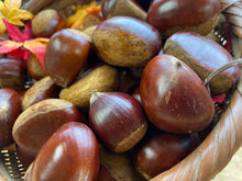 画像をギャラリービューアに読み込む, 2025年分完売しました★【 採れたて直送! 】5cm以上 諸塚村産 生栗 1kg