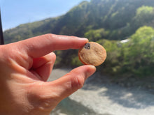 画像をギャラリービューアに読み込む, 椎茸クッキー・ブルーベリークッキー