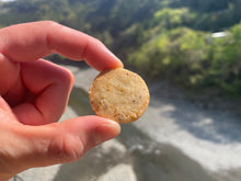 画像をギャラリービューアに読み込む, 椎茸クッキー・ブルーベリークッキー