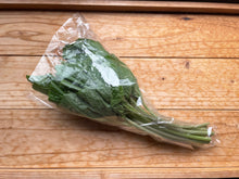 画像をギャラリービューアに読み込む, 2025年分完売しました★【 冷蔵 / 採れたて直送! 】 諸塚村産 葉わさび 1束 (約100g)
