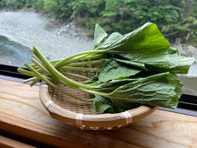 画像をギャラリービューアに読み込む, 2025年分完売しました★【 冷蔵 / 採れたて直送! 】 諸塚村産 葉わさび 1束 (約100g)