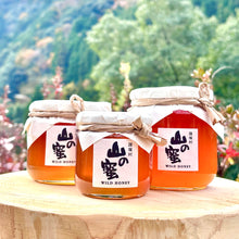 画像をギャラリービューアに読み込む, 【 冷蔵 】諸塚村産 山の蜜(蜂蜜・百花蜜・純粋はちみつ) 200g / 400g / 600g