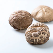 画像をギャラリービューアに読み込む, 【 贈答・ギフト用 】諸塚村産 乾しいたけ 厚肉どんこ 100g (干し椎茸)