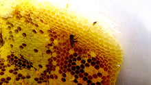 画像をギャラリービューアに読み込む, 【 メール便 】諸塚村産日本ミツバチの蜜蝋(未精製) 100g
