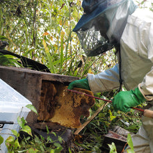 画像をギャラリービューアに読み込む, 【 冷蔵 】九州産 森の百花蜜(はちみつ) 190g