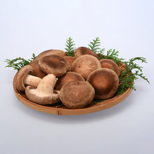 画像をギャラリービューアに読み込む, 2025年度分販売開始★【 冷蔵 / 採れたて直送! 】諸塚村産原木生しいたけ 650g