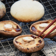 画像をギャラリービューアに読み込む, 2025年度分販売開始★【 冷蔵 / 採れたて直送! 】諸塚村産原木生しいたけ 650g