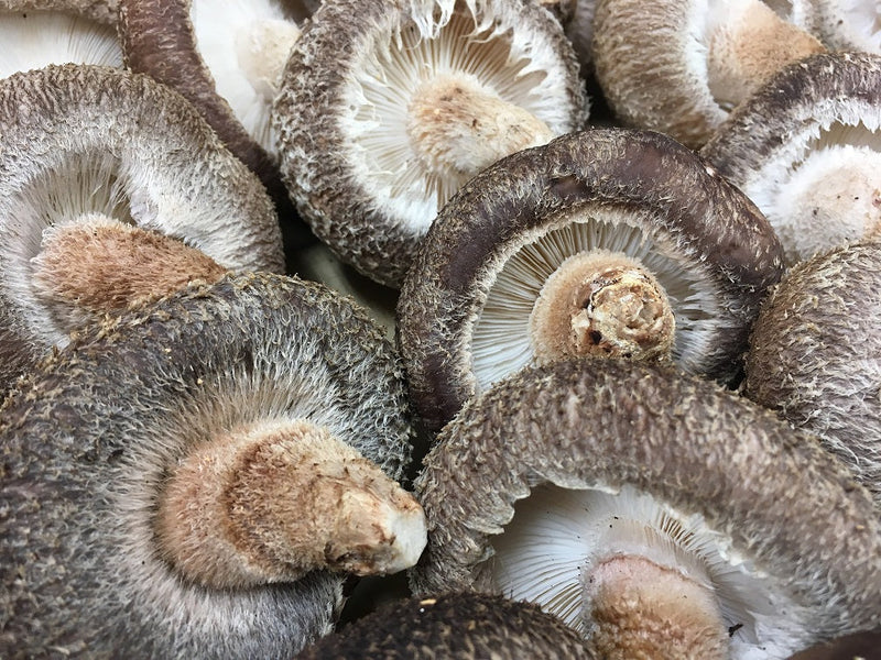 【11月イベント案内】秋の味覚を3金で！