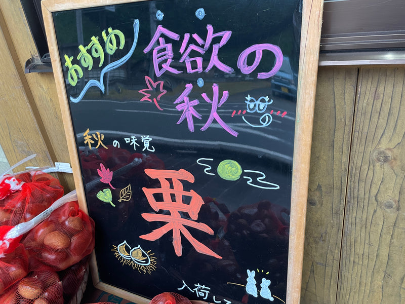 季節到来！栗を販売開始しました★