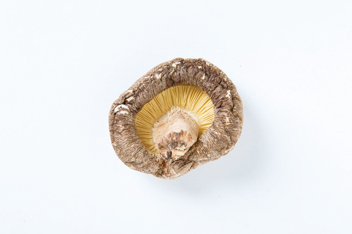 もろつかしいたけ どんこ80g（乾しいたけ・干し椎茸） – もろっこはうす