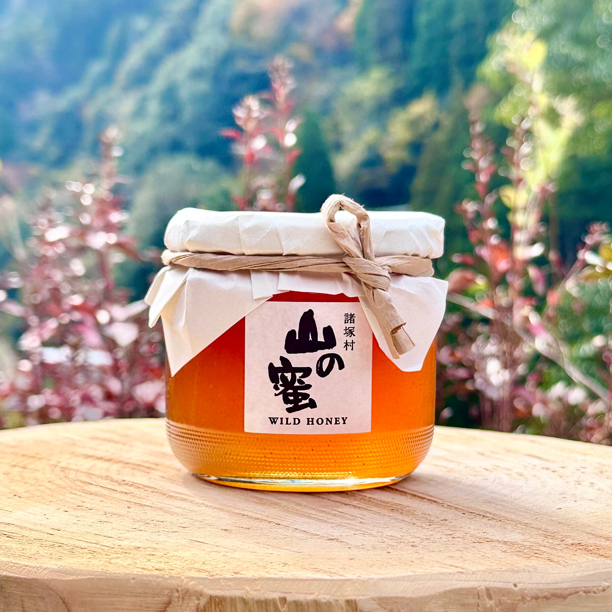 冷蔵 】諸塚村産 山の蜜（日本ミツバチの百花蜜・純粋はちみつ） 200g