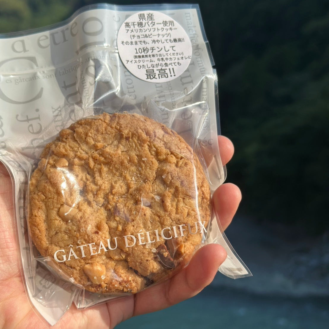 冷蔵 】チョコ＆ピーナッツのアメリカンソフトクッキー – もろっこはうす
